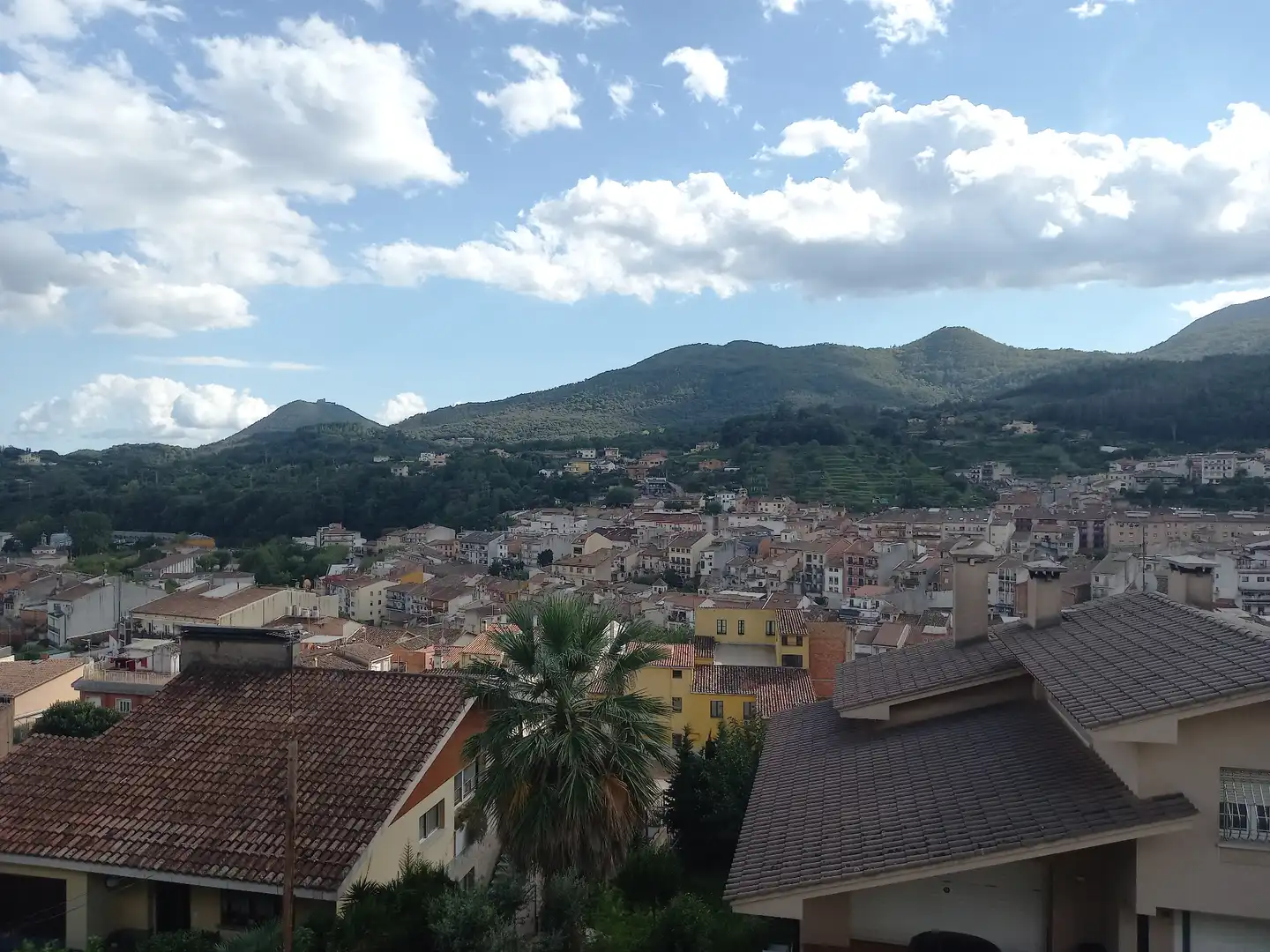 Vista exterior de Casa o xalet en venda en Arbúcies amb Jardí privat