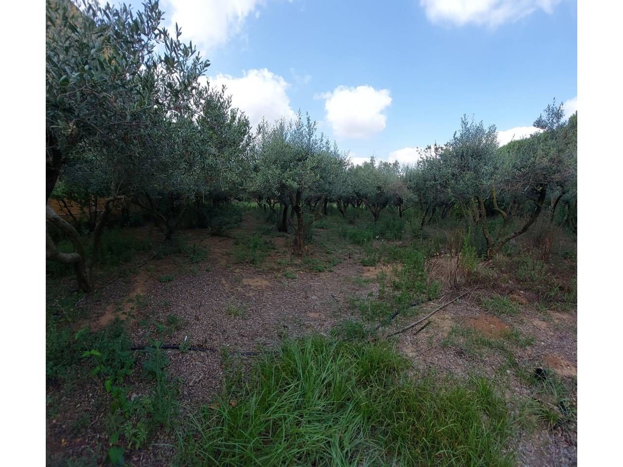 Finca rústica en venda en Vila-seca amb Aire condicionat i Moblat