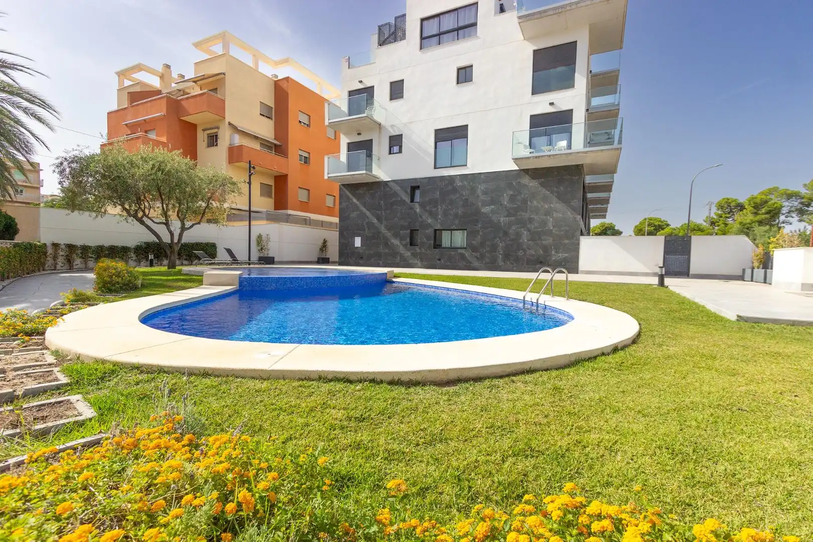 Swimming pool of Apartments for rent in El Campello