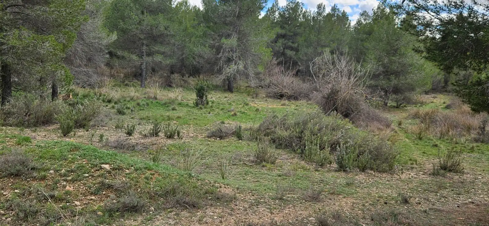 Terreno en venta en Las Parras de Castellote
