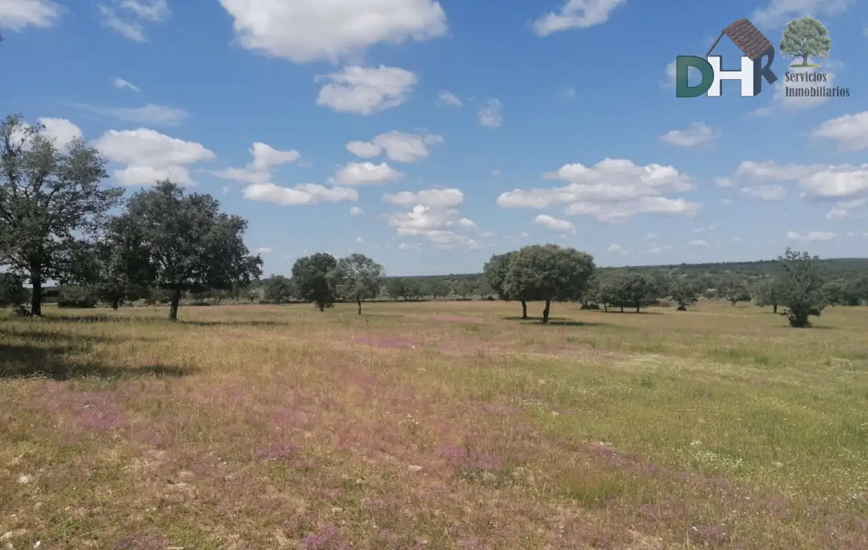 Lands and plots for sale in Barrio Blanco, imagen 5