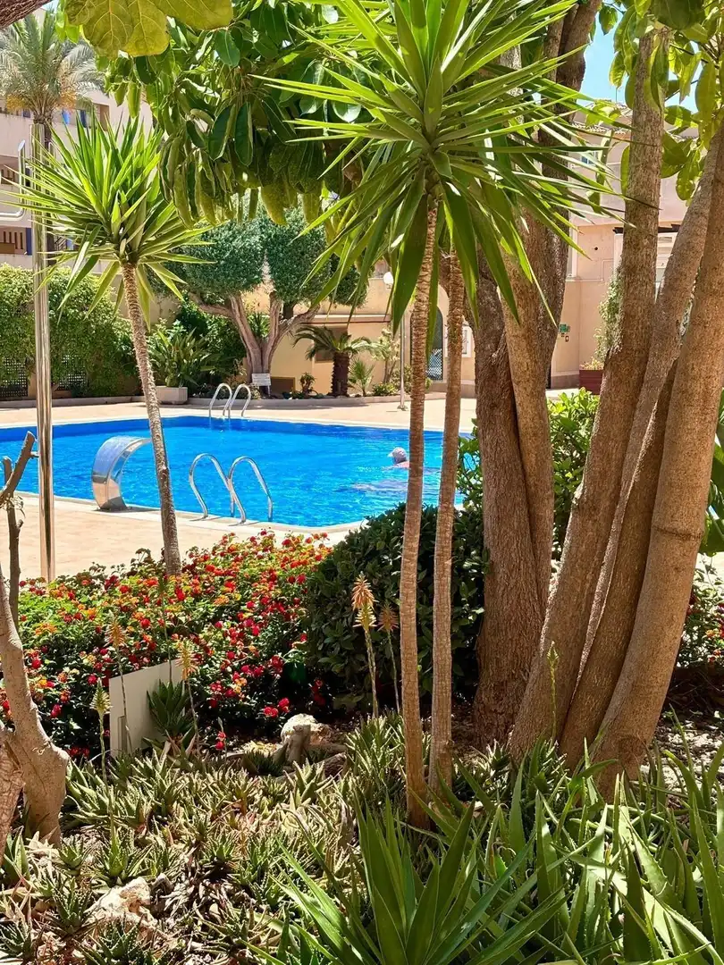 Apartament amb piscina en venda a Orihuela Costa, imagen 50