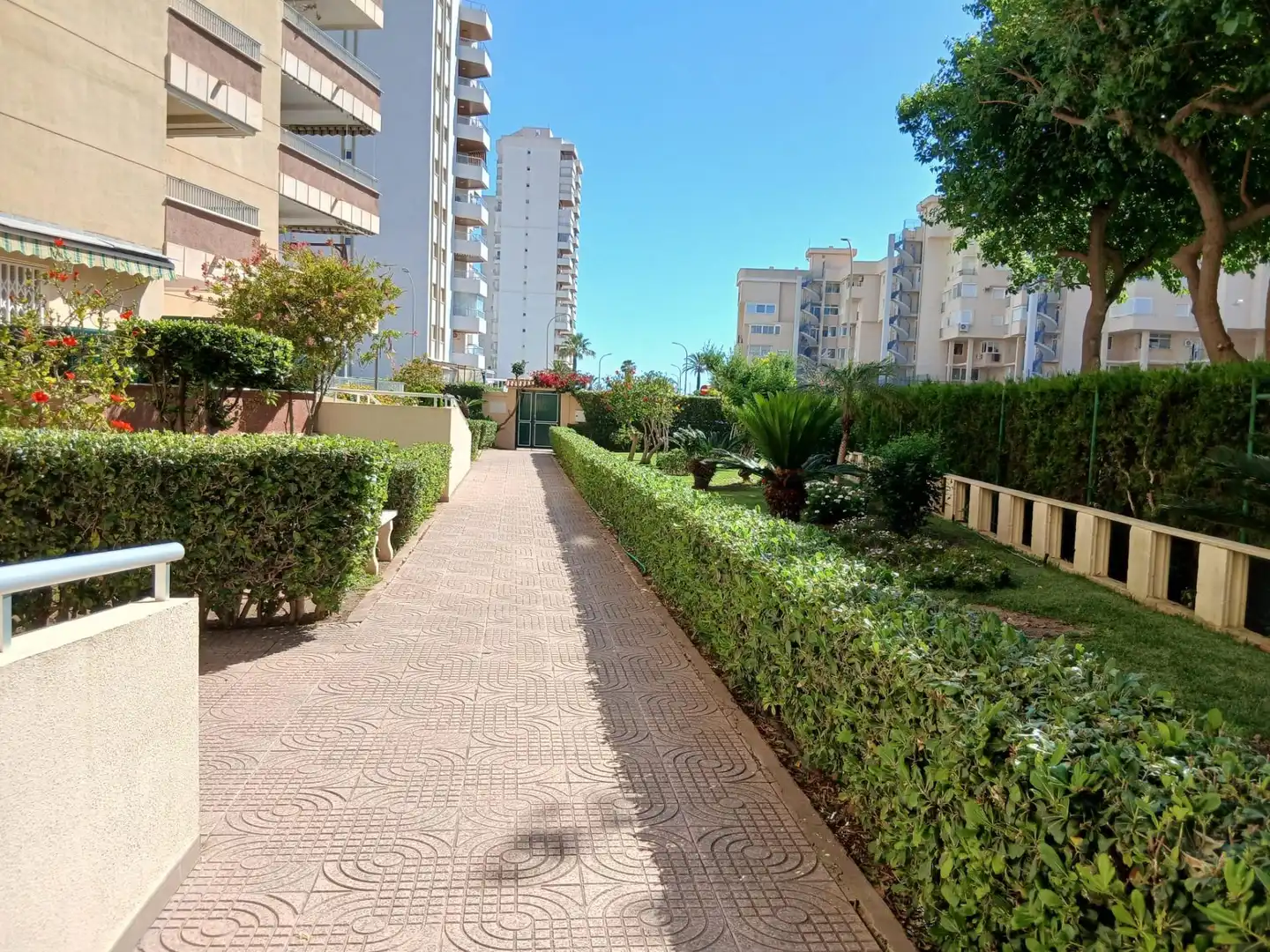 Mini appartamento con piscina in affitto a Playa de Gandia, imagen 7