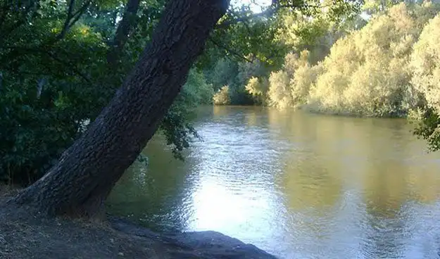 Wohnbaugrundstück zum Verkauf in Hormigos, imagen 11