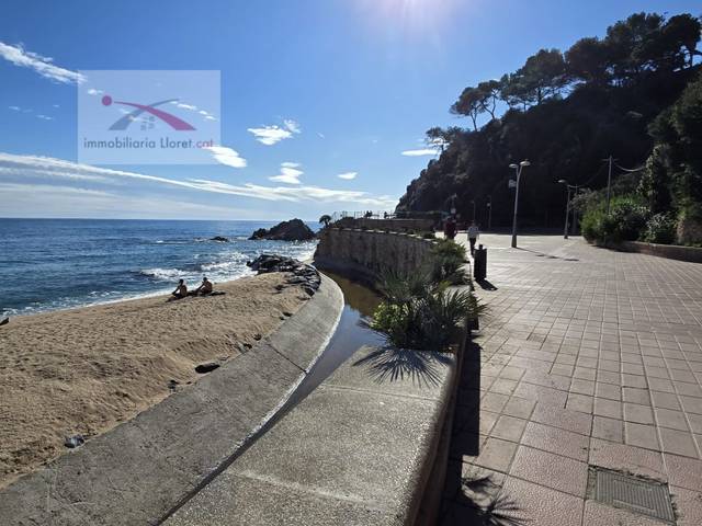 Local comercial en Venta en El Molí - El Rieral
