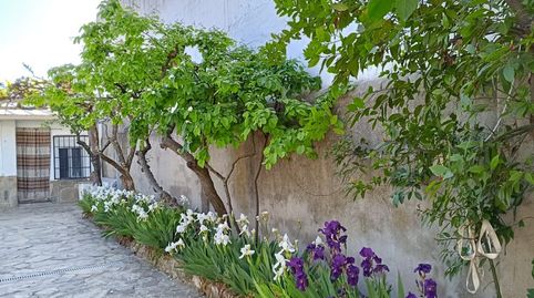 Foto 4 von Geschaftsraum zum Verkauf in Ronda Mediodía, 21, La Guardia, Toledo