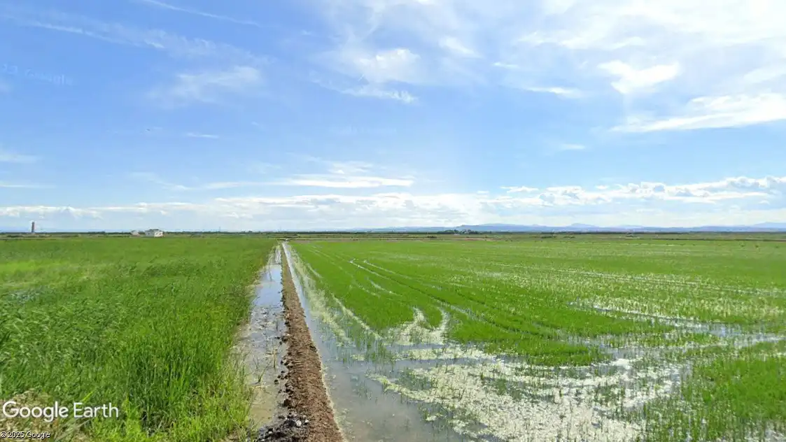 Terreno rustico in vendita a Catarroja, imagen 7