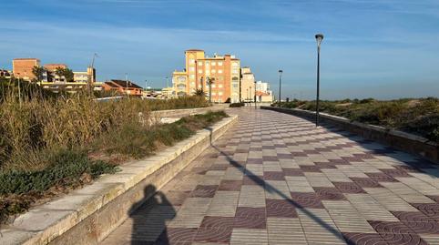 Foto 3 de Planta baja en venta en Les Palmeres, Sueca