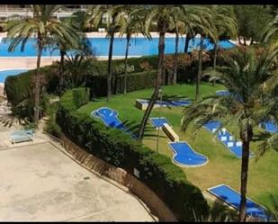 Swimming pool of Planta baja to rent in Alicante / Alacant  with Air Conditioner, Private garden and Community pool