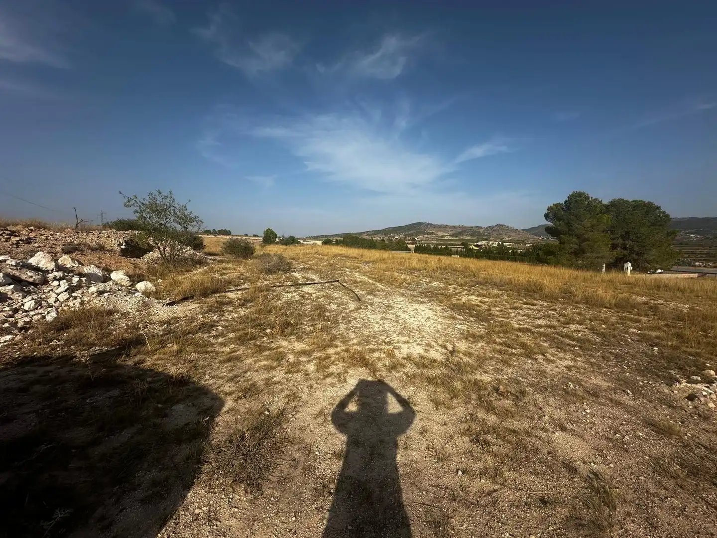 Residential land for sale in El Pinós / Pinoso, imagen 2