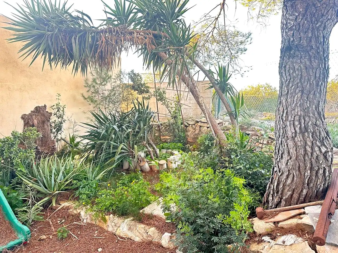 Jardín de Finca rústica en venta en Amposta con Piscina