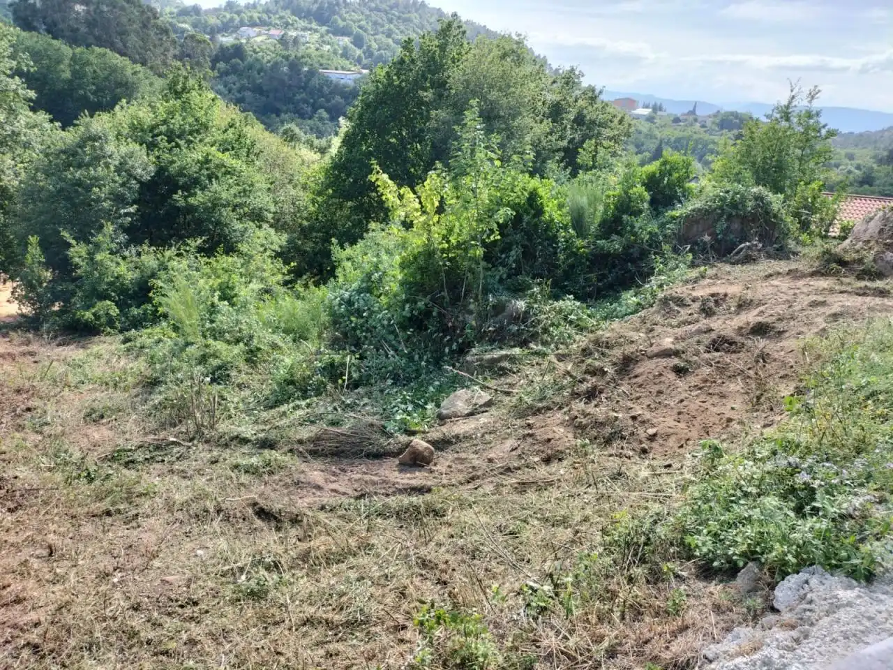 Terreni e lotti in vendita a O Pereiro de Aguiar, imagen 2