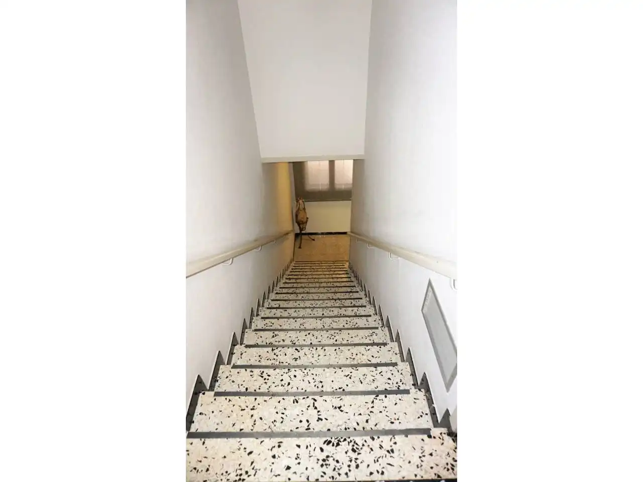 Gewerbefläche zum Verkauf in Barri Valldeoriolf, imagen 12
