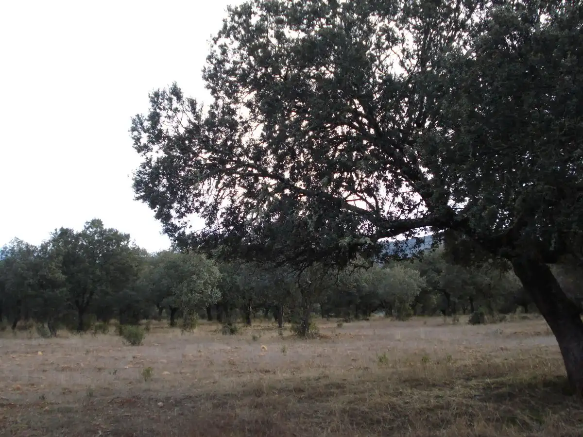 Casa rústica en venda a Área Rural-Valverde-Las Casas, imagen 7