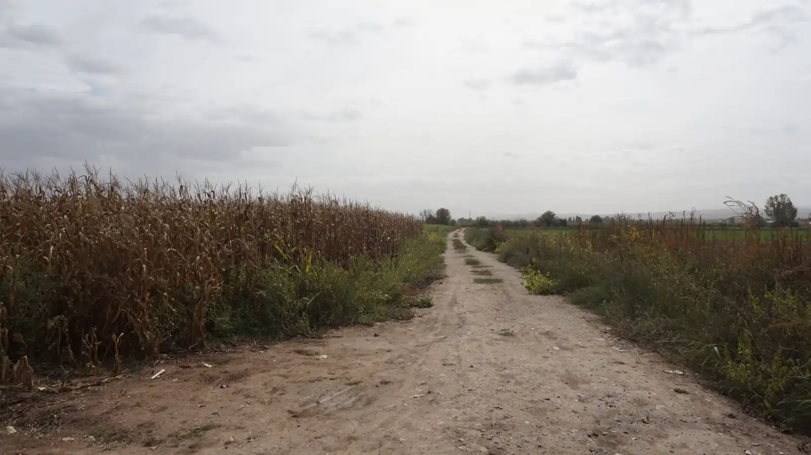 Rustikales Grundstück zum Verkauf in Pinos Puente, imagen 5