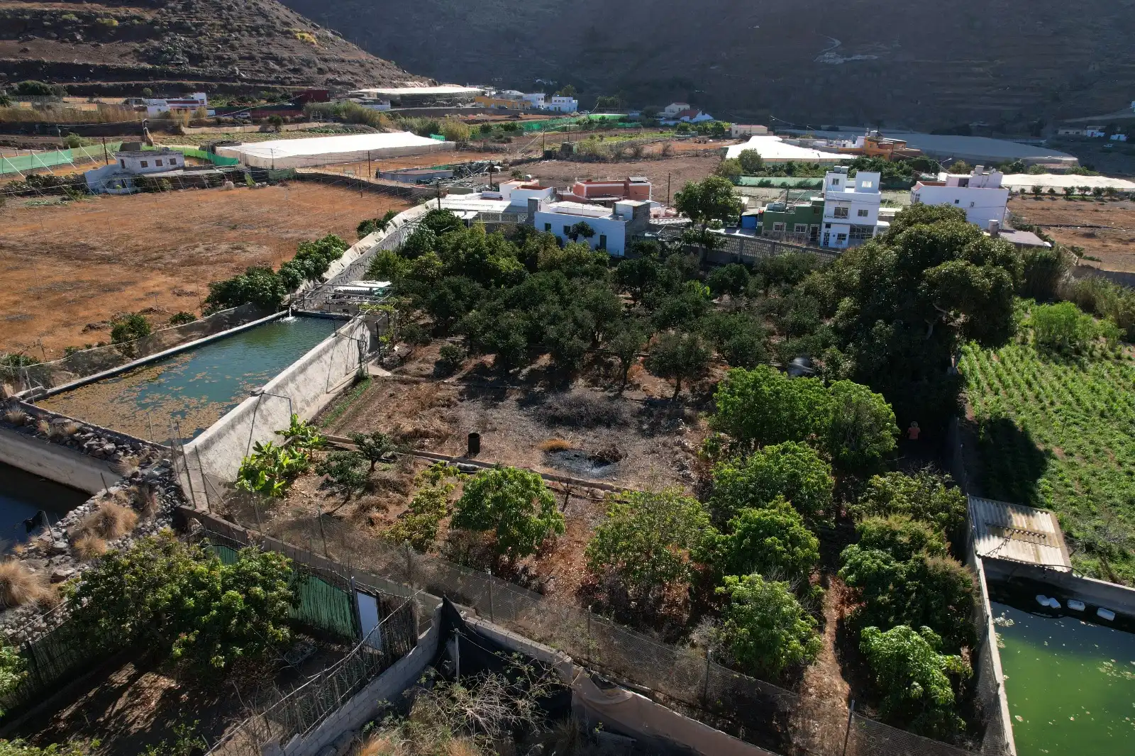 Casa rústica con jardín en venta en La Aldea de San Nicolás, imagen 3
