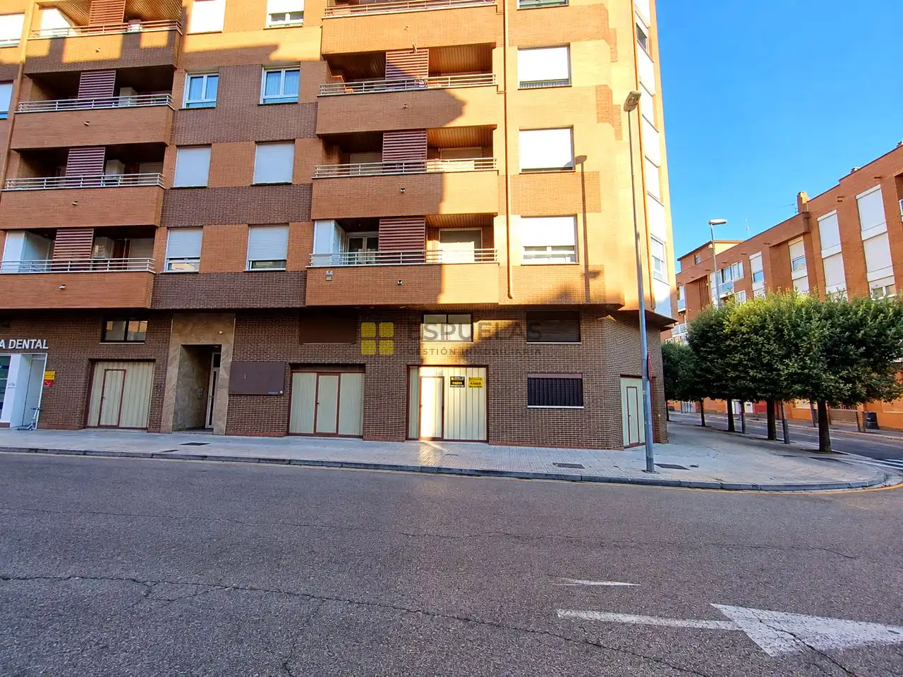 Business premises to rent in Avenida Pío XII 13
