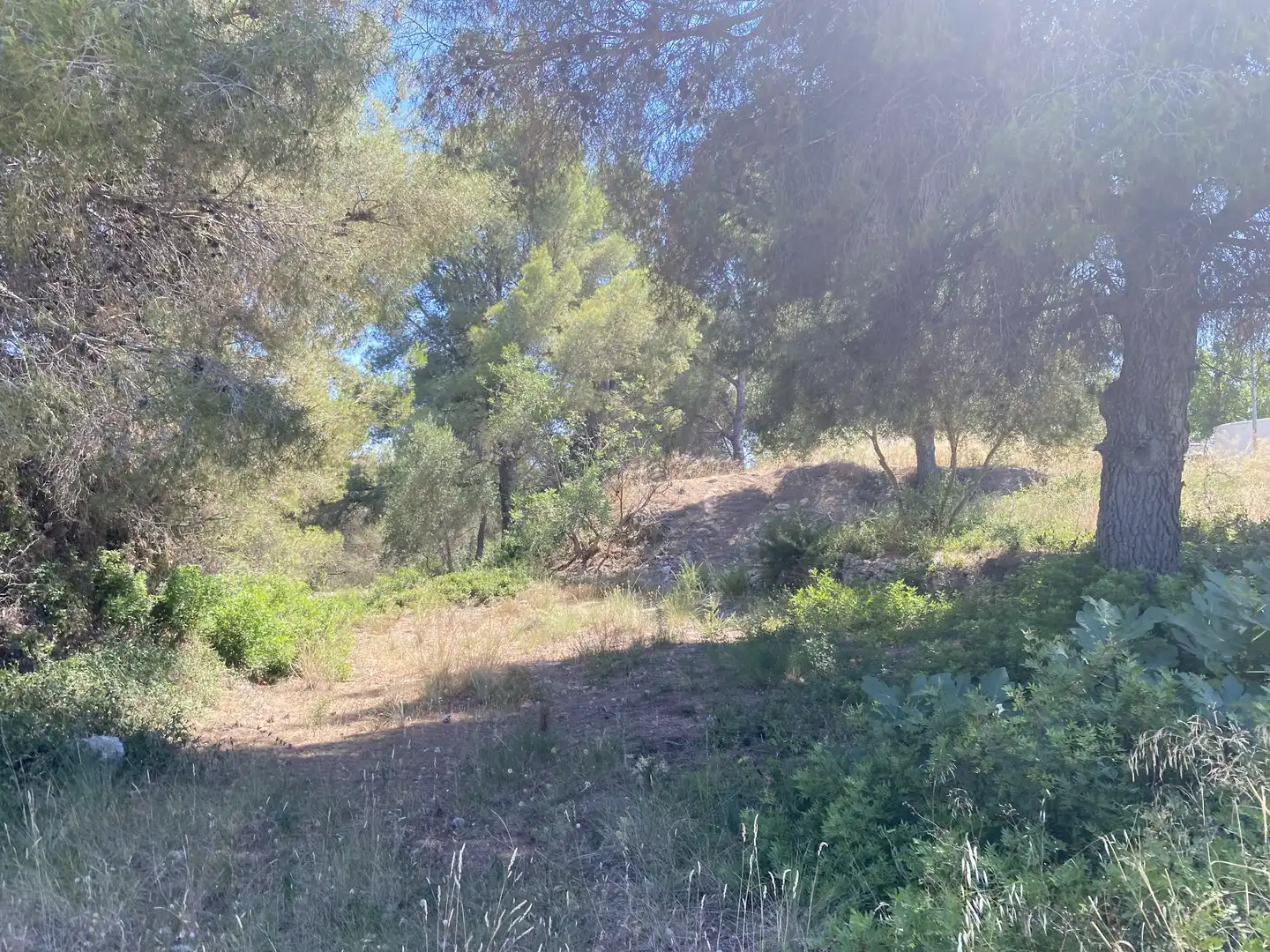Residential land for sale in Urbanitzacions de Llevant, imagen 29
