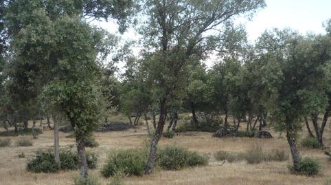 Foto 2 de Terreno en venta en M-510, 1, Chapinería, Madrid