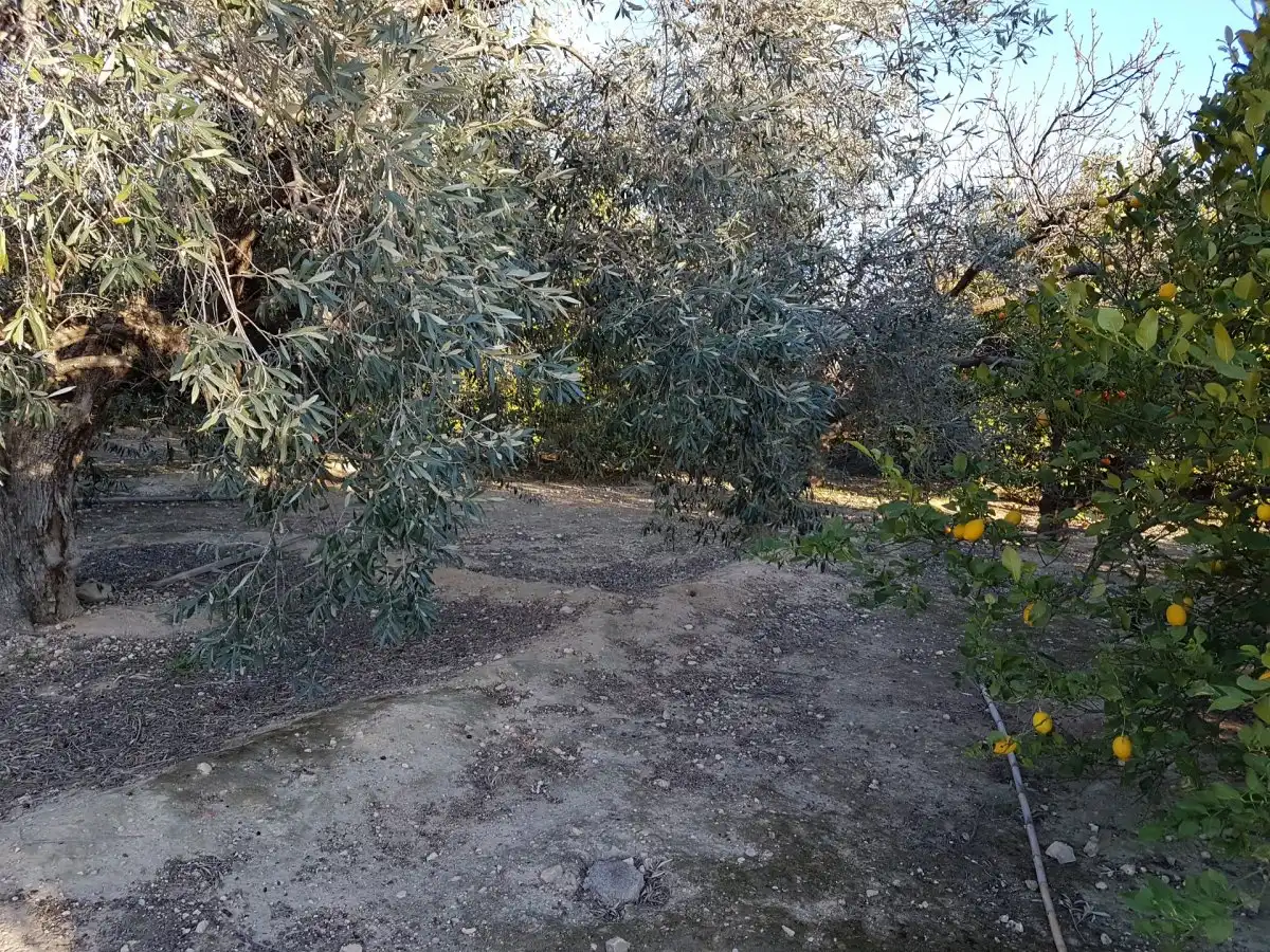 Finca rústica en venta en Ulea
