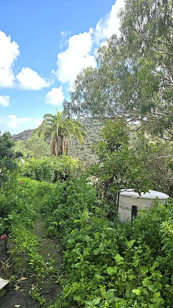 Jardín de Residencial en venta en Santa Brígida