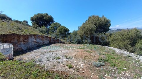 Finca rústica en el pueblo de Guaro., immagine 5