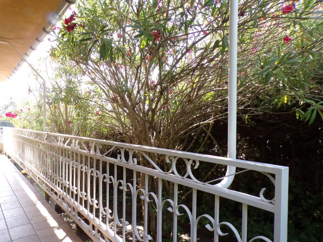 House with pool for sale in Calle sotillo 1, imagen 30