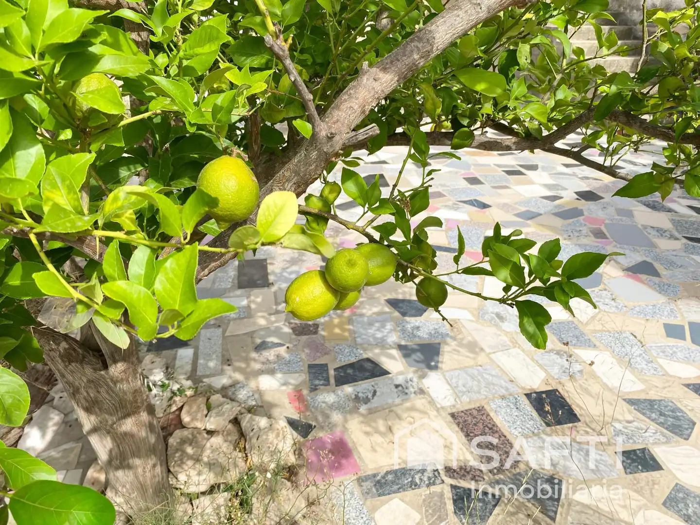 Jardí de Finca rústica en venda en Yátova