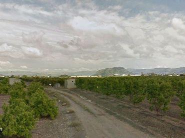 Rustikales Grundstück zum Verkauf in Xàtiva