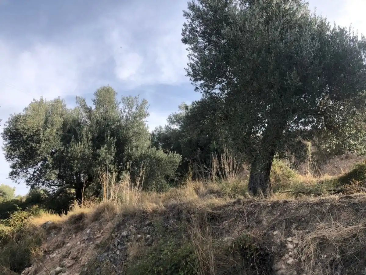 Finca rústica en venda en Valderrobres