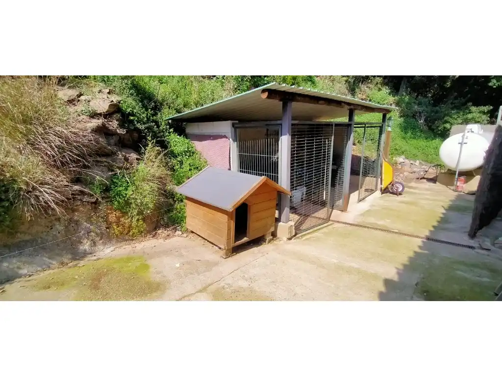 Vista exterior de Finca rústica en venta en Amer con Aire acondicionado