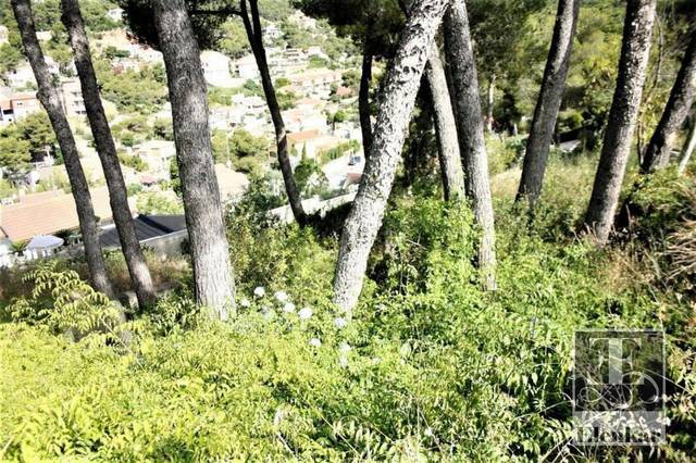 Terreno en Venta en el Greco en Mas Trader - Corral d'En Tort - Corral d'En Cona