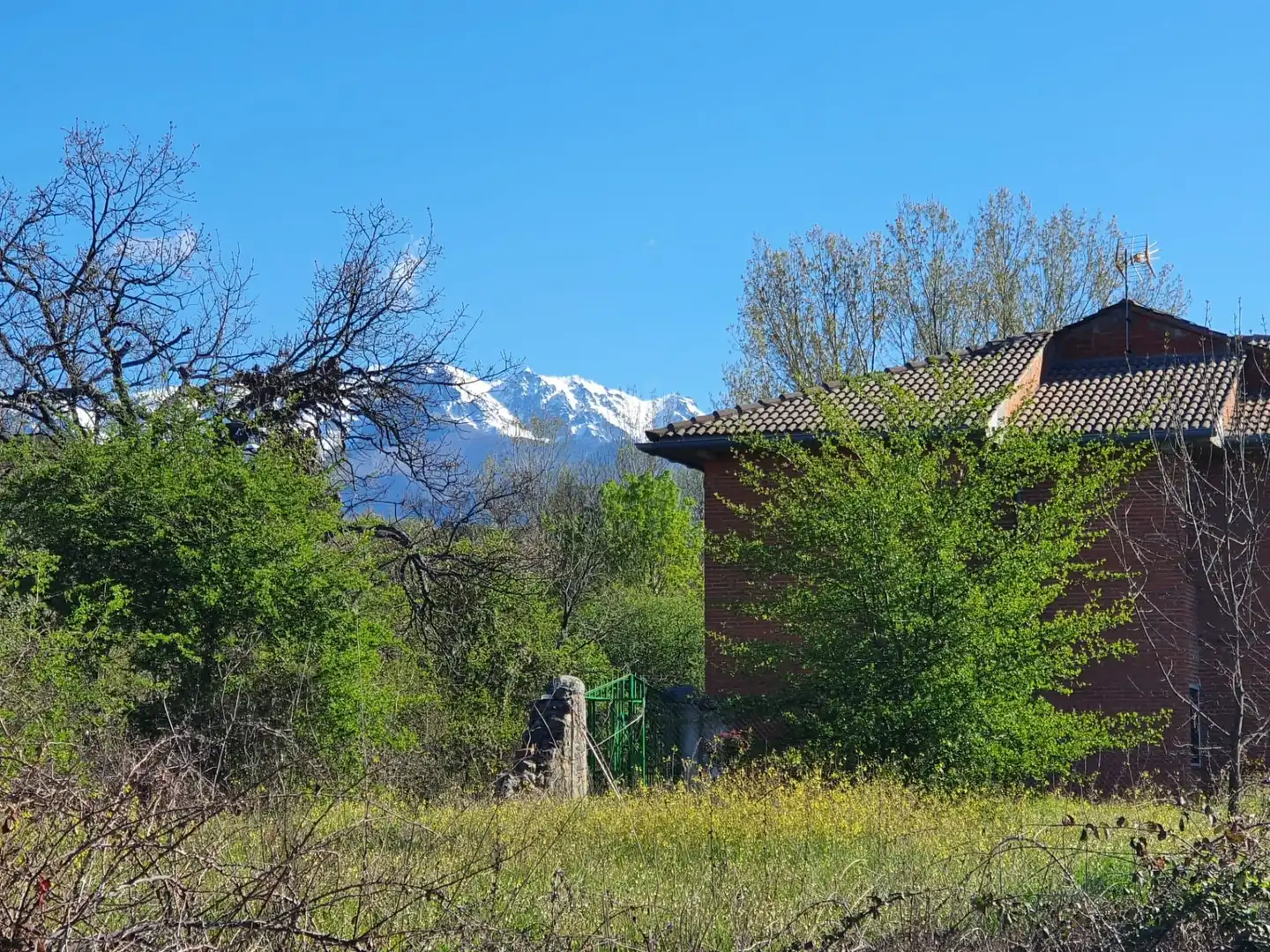 Rural land for sale in Villanueva de la Vera, imagen 3