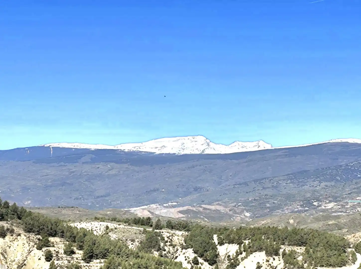 Vista exterior de Casa o chalet en venta en Alcolea con Terraza, Trastero y Amueblado