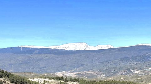 Foto 2 de Casa o xalet en venda a Carretera, 21, Alcolea, Almería