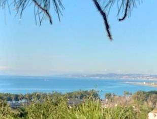 Vista exterior de Terreny en venda en Estepona