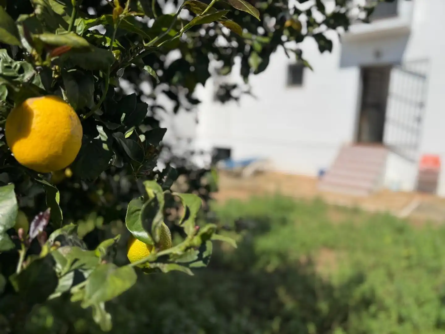 Villa mit Garten zum Verkauf in Calle MAR SERENA, imagen 47