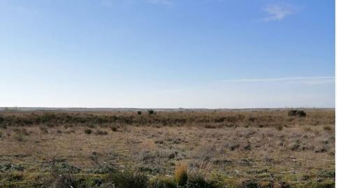 Foto 2 de Terreny industrial en venda a Calle 24218, Mansilla de las Mulas, León