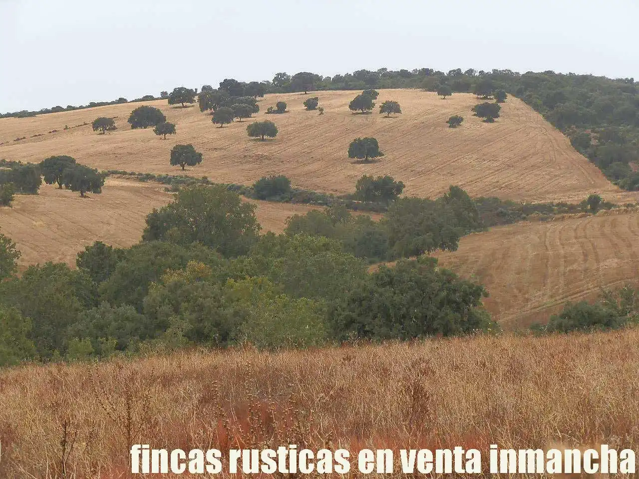 Land for sale in Abenójar
