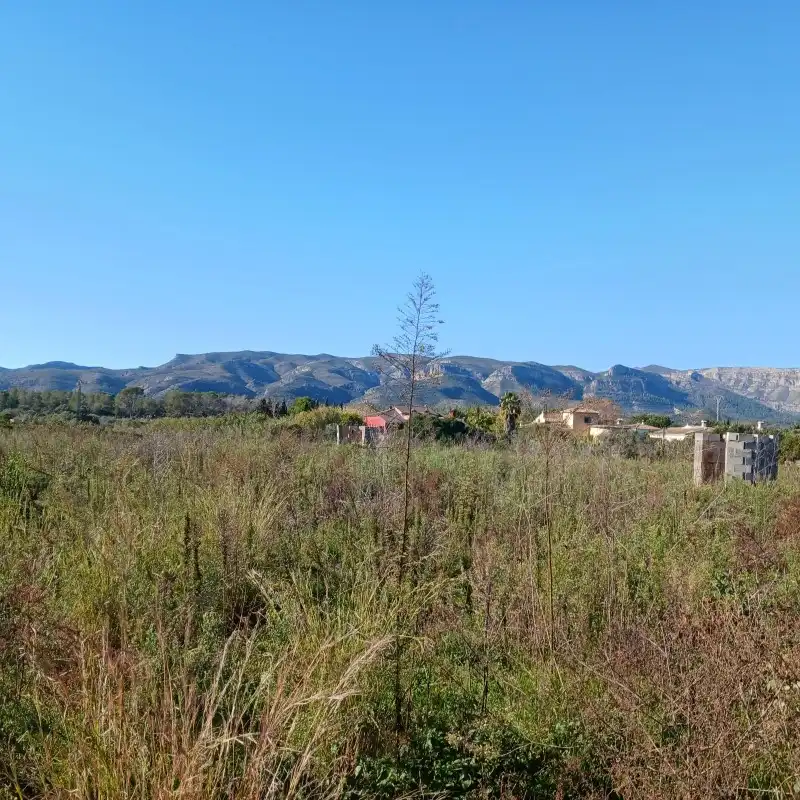 Terreny rústic en venda a Partida Cova Negra, imagen 23