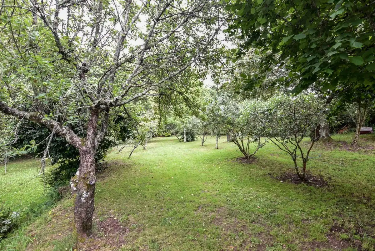 Casa o xalet en venda en Mondariz amb Jardí privat, Terrassa i Traster