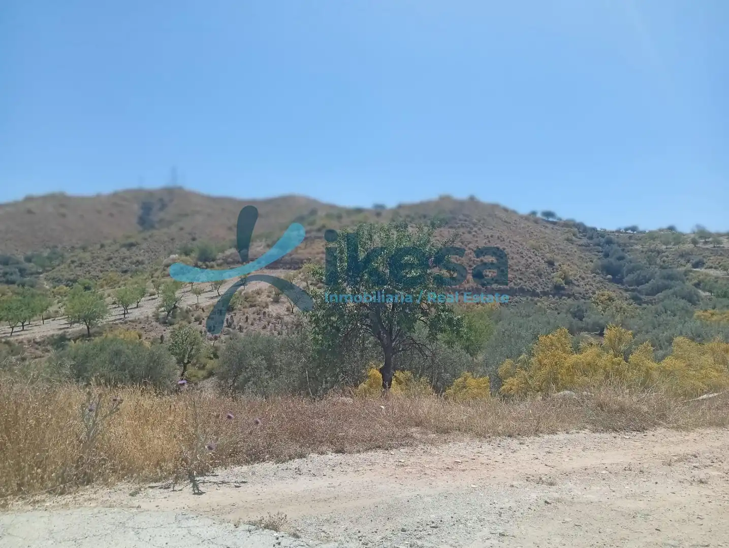 Lands and plots for sale in Cantoria, imagen 5