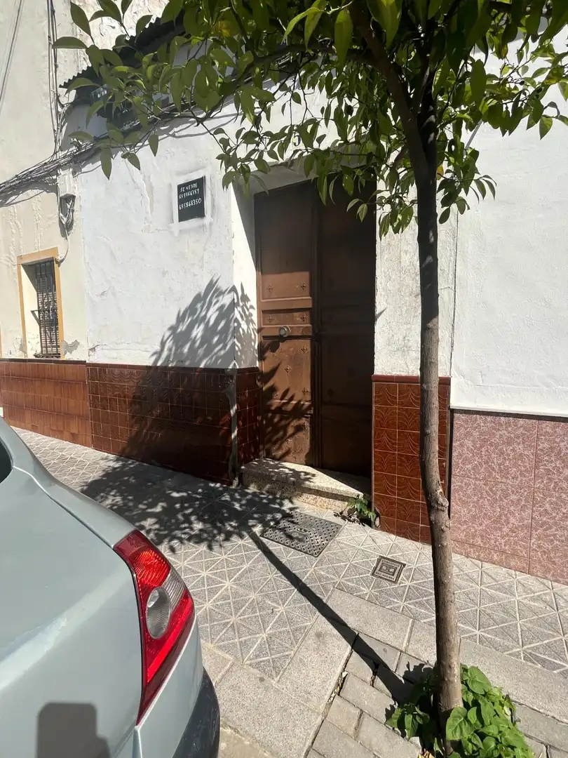 Vista exterior de Casa o chalet en venta en El Viso del Alcor