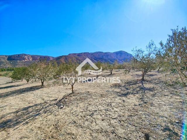 Terreno en Venta en Jesús Pobre