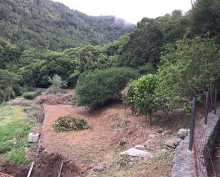 Land for sale in Hermigua