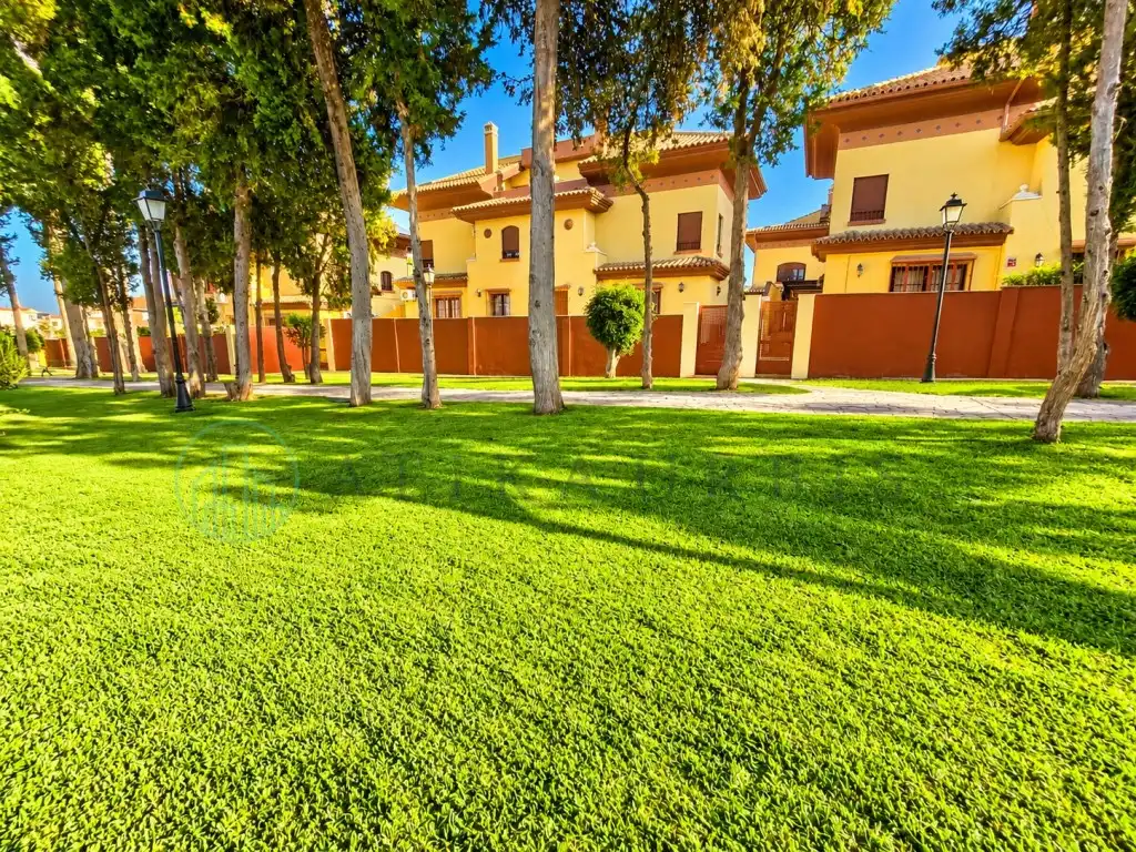Exterior view of Detached homes for sale in Churriana