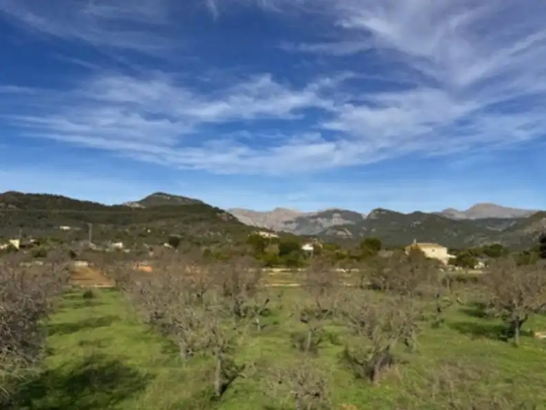 Houses for sale in Binissalem, Illes Balears