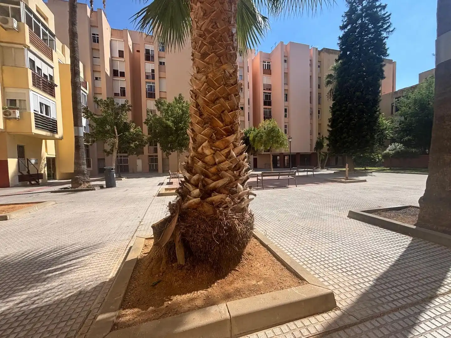 Apartment zum Verkauf in La Pastora - La Estación, imagen 8