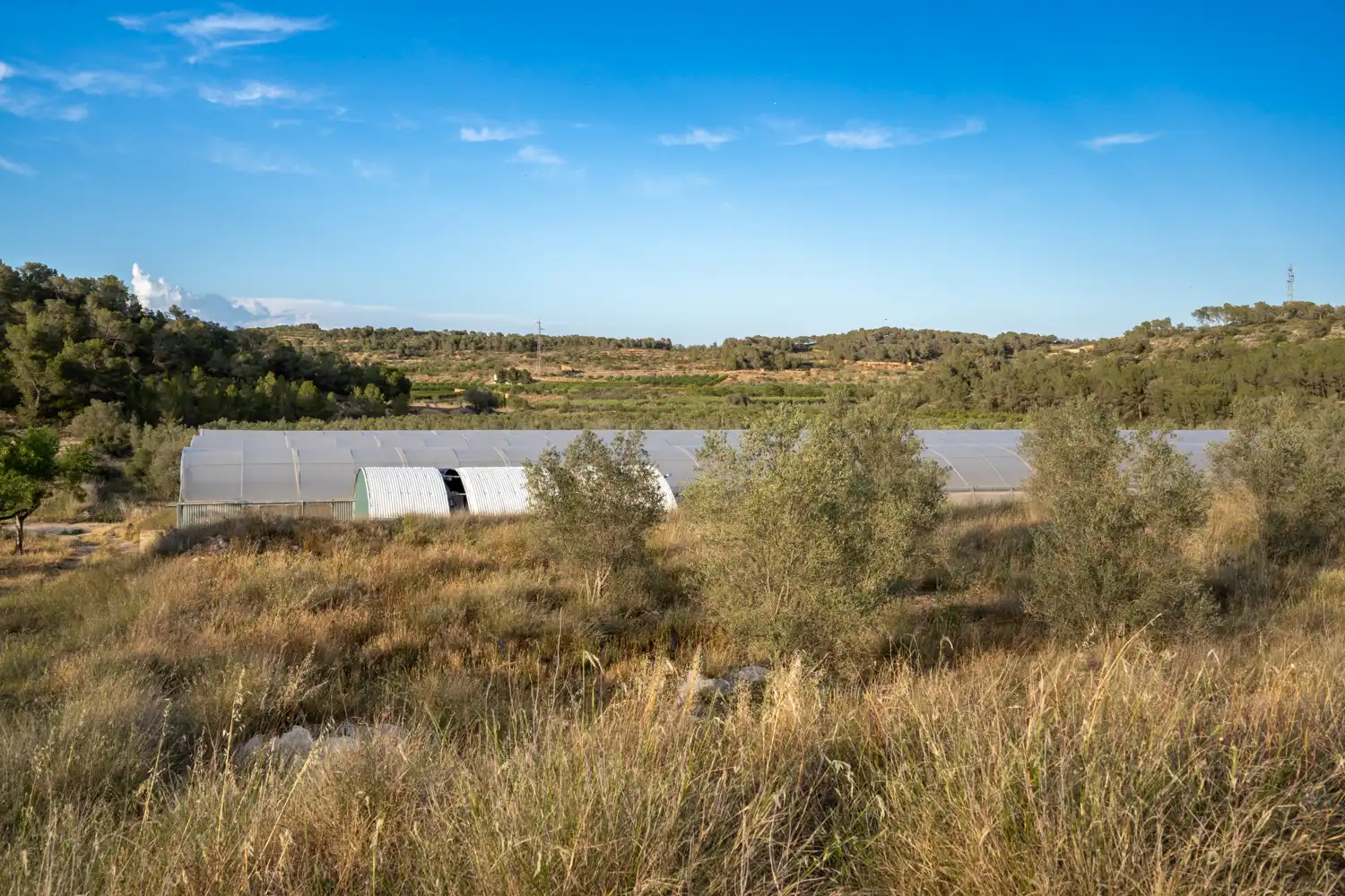 Land for sale in El Pinell de Brai