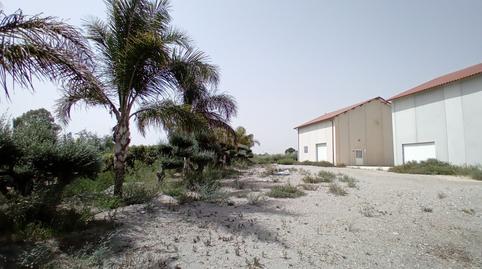 Photo 2 of House or chalet for sale in Torrecilla, Murcia